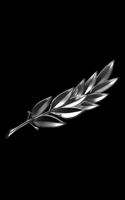 Цветы на памятник 016