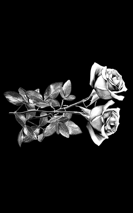 Цветы на памятник 021