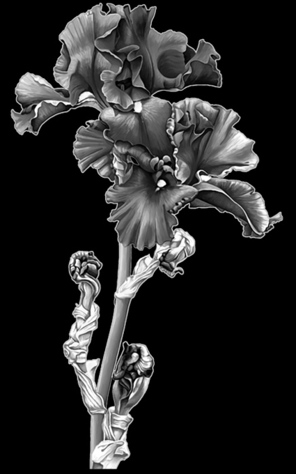 Цветы на памятник 026