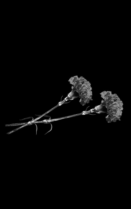 Цветы на памятник 030