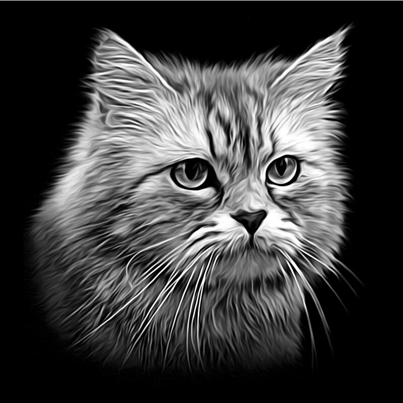 Портрет питомцу