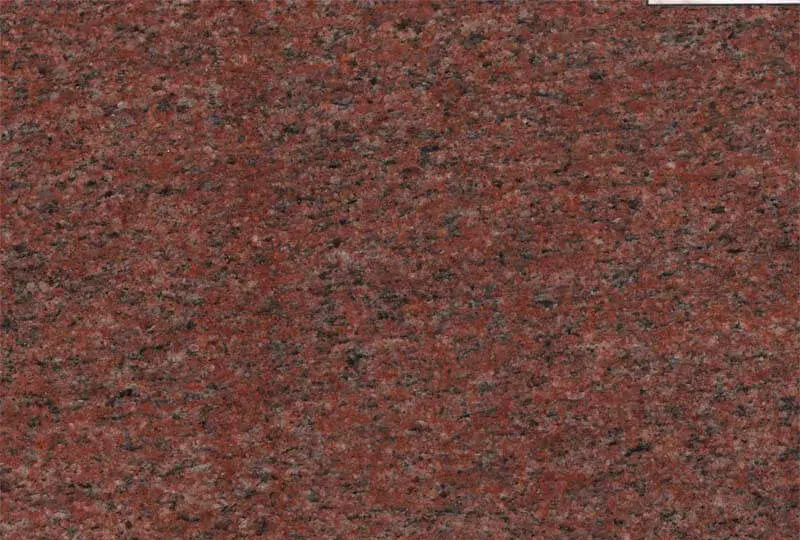 Сюскюянсаари